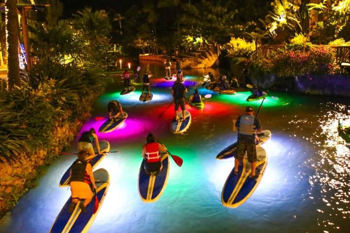 people paddle boarding in illuminated water at night