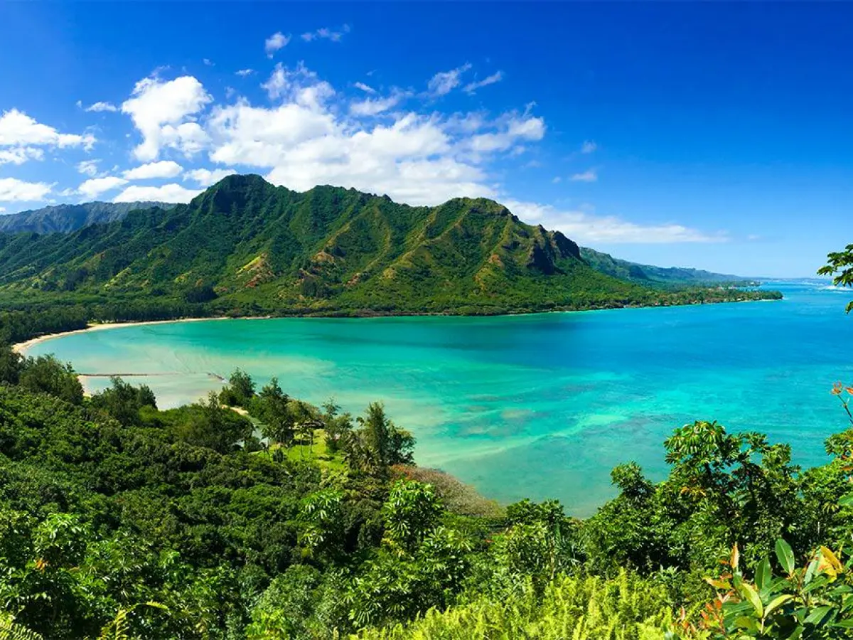 lush Hawaiian landscape with ocean cove and mountains